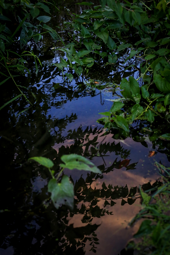 reflected sunset sky in a puddle-2 small