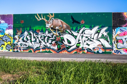 saint-louis-flood-wall-graffiti-1-small